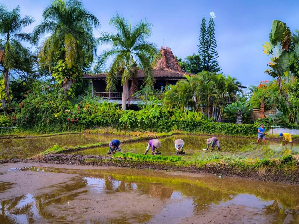 Ayu Dira Heritage House Ubud Exterior foto